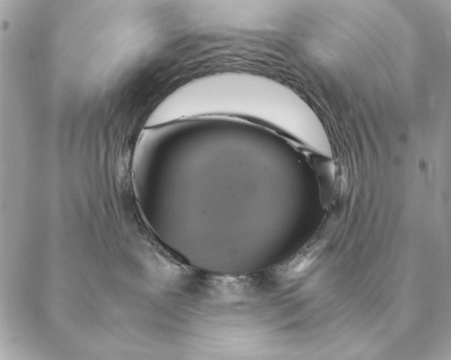 X0000088600239200706151809