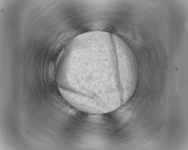 X0000088600240200706151809