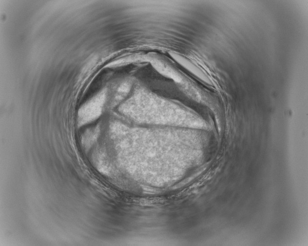 X0000088600241200706151808