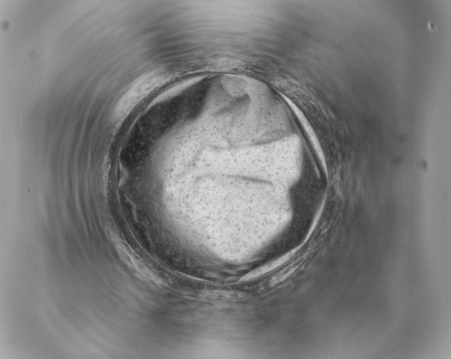 X0000088600242200706151808