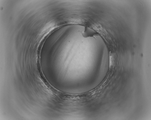 X0000088600243200706151808