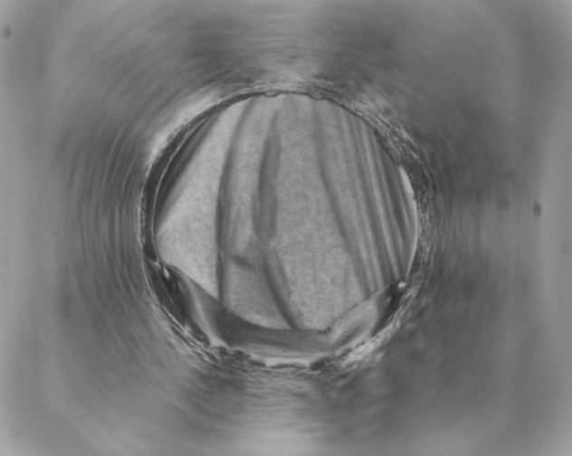 X0000088600244200706151808