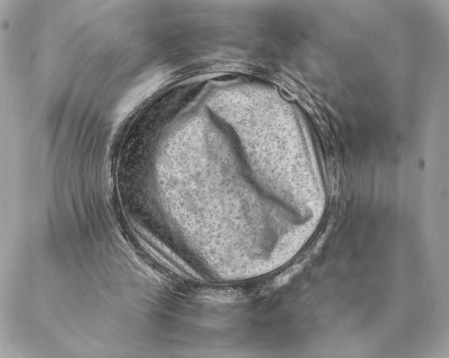 X0000088600245200706151808