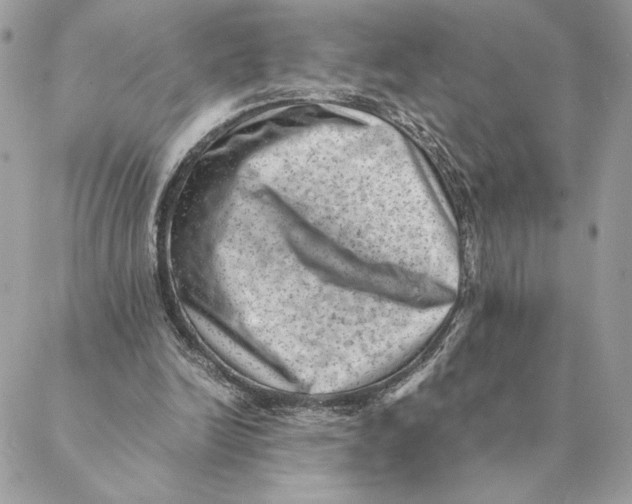 X0000088600246200706151808