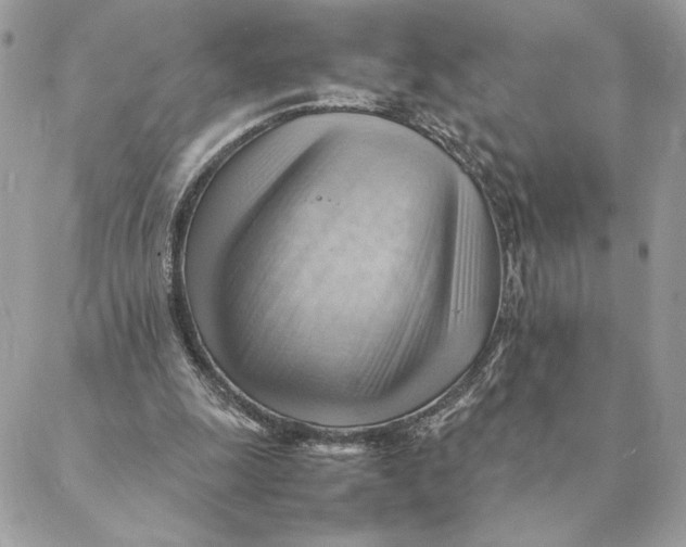 X0000088600247200706151808