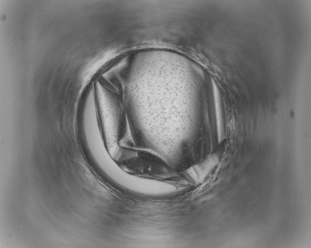 X0000088600248200706151808