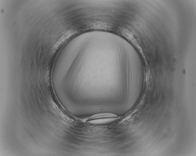 X0000088600249200706151808