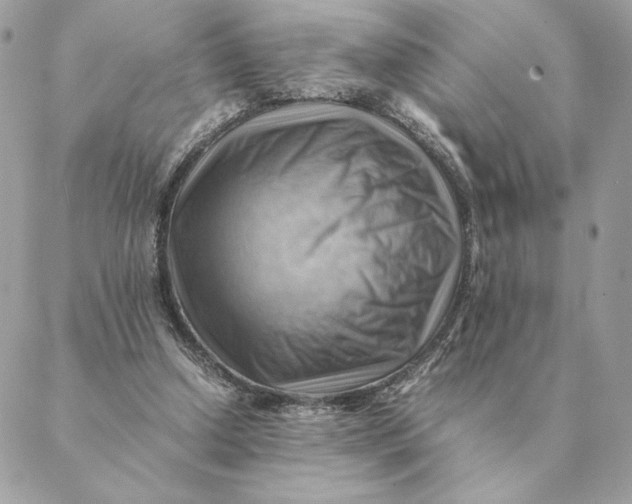 X0000088600250200706151808