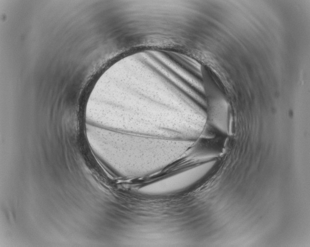 X0000088600252200706151808