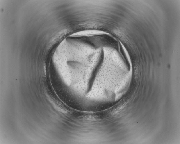 X0000088600254200706151808