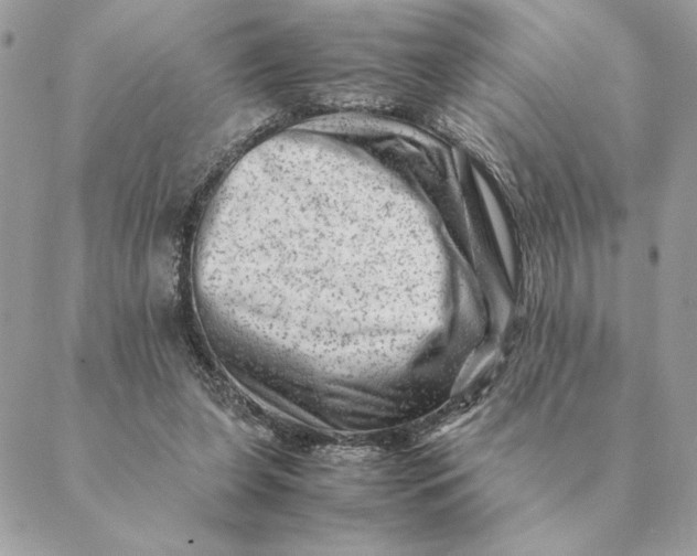 X0000088600255200706151808