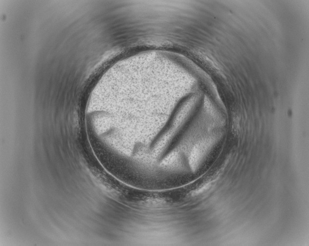 X0000088600256200706151808