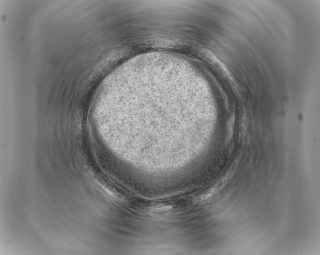 X0000088600257200706151808