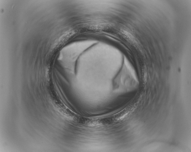 X0000088600258200706151808