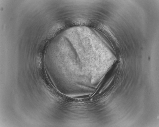 X0000088600259200706151808