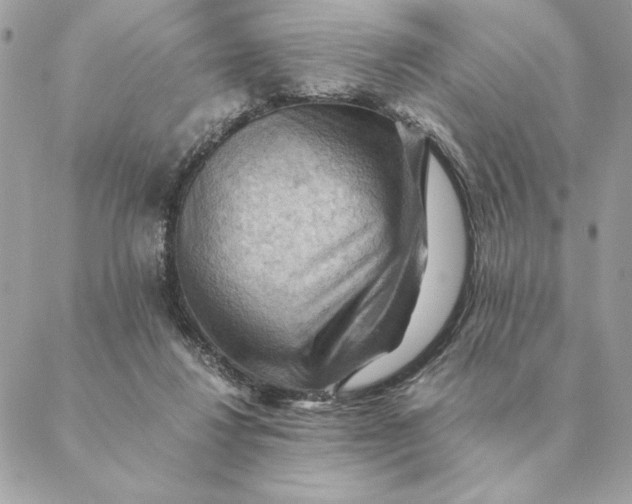 X0000088600260200706151808