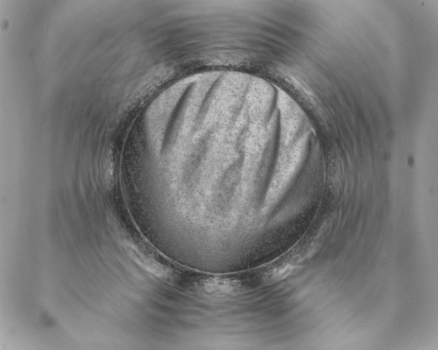 X0000088600261200706151808