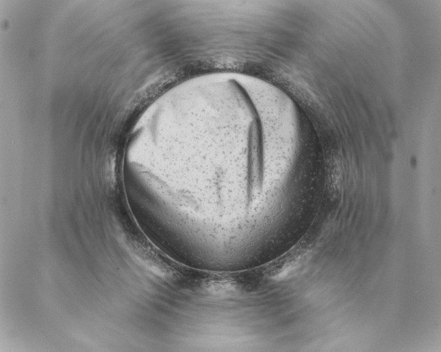 X0000088600262200706151808