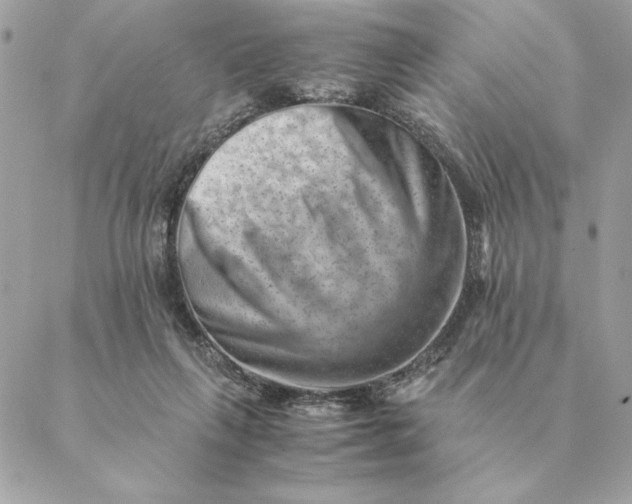 X0000088600263200706151808