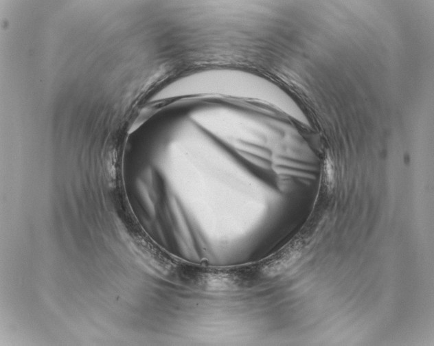 X0000088600264200706151809