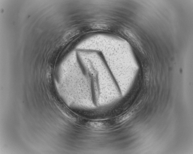 X0000088600265200706151809