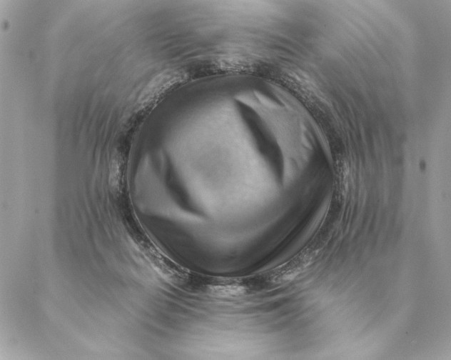 X0000088600266200706151809