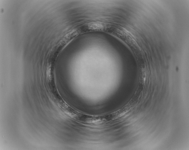 X0000088600267200706151809