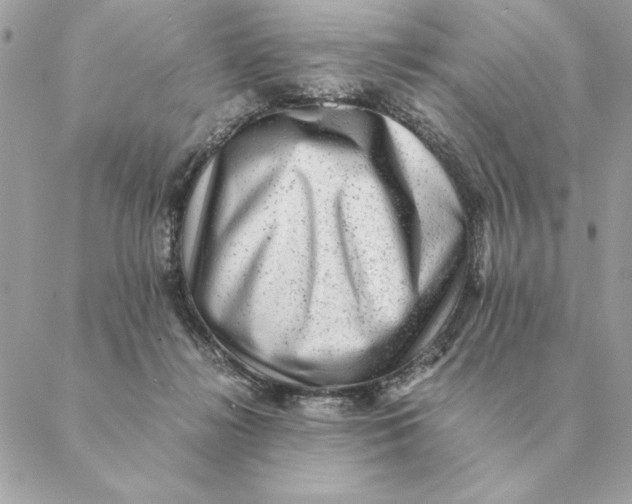 X0000088600268200706151809