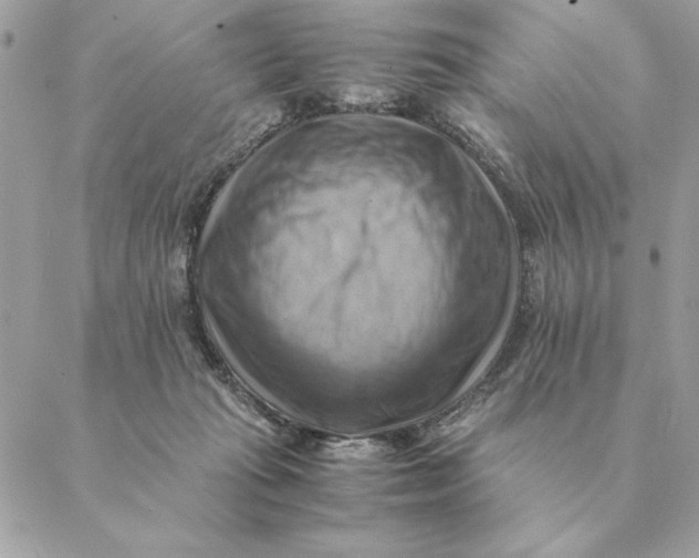 X0000088600269200706151809