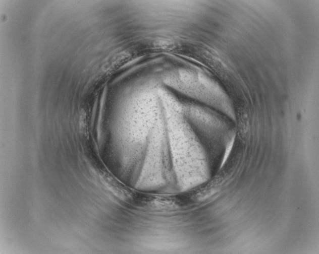 X0000088600270200706151809