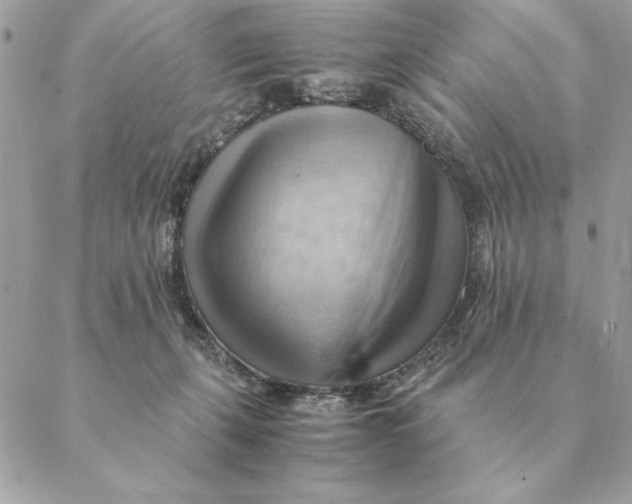 X0000088600271200706151809