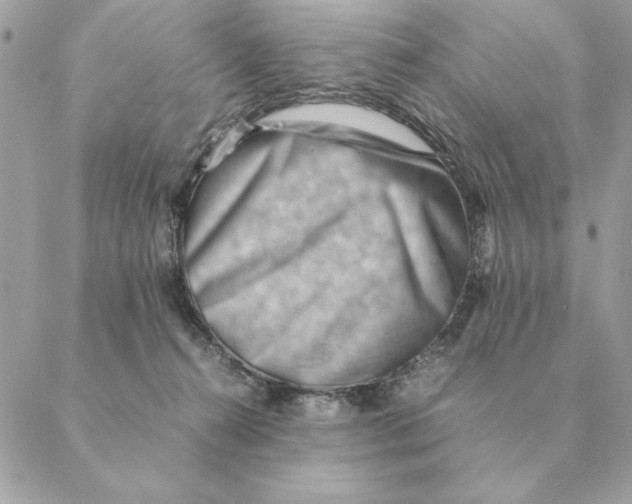 X0000088600272200706151809