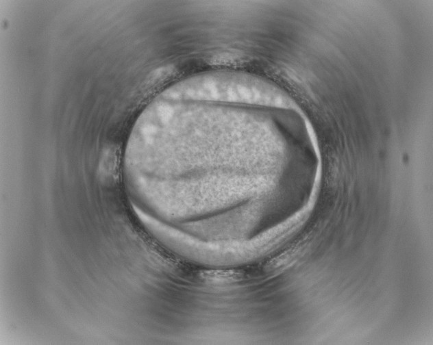 X0000088600273200706151809