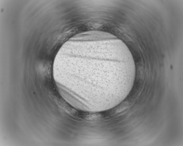 X0000088600274200706151809