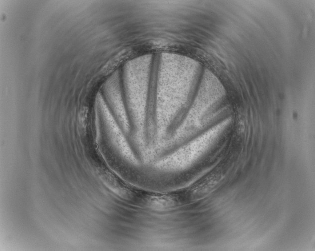 X0000088600275200706151809