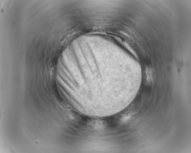 X0000088600276200706151809