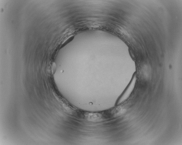 X0000088600277200706151809