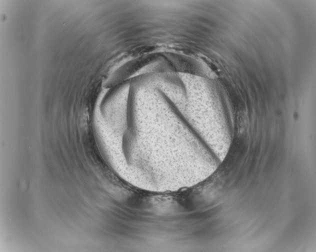 X0000088600279200706151809