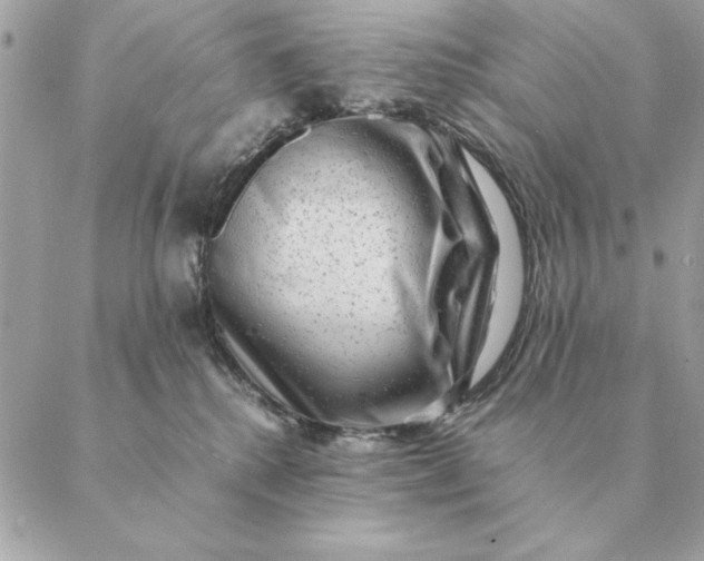 X0000088600280200706151809