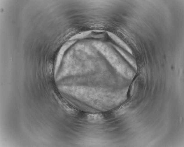 X0000088600281200706151809