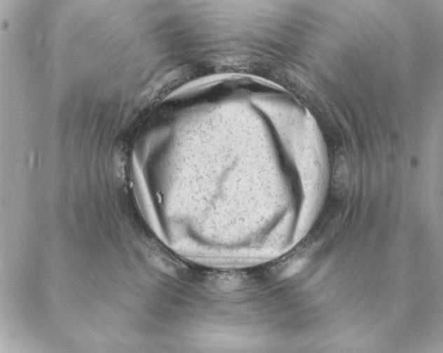 X0000088600282200706151809