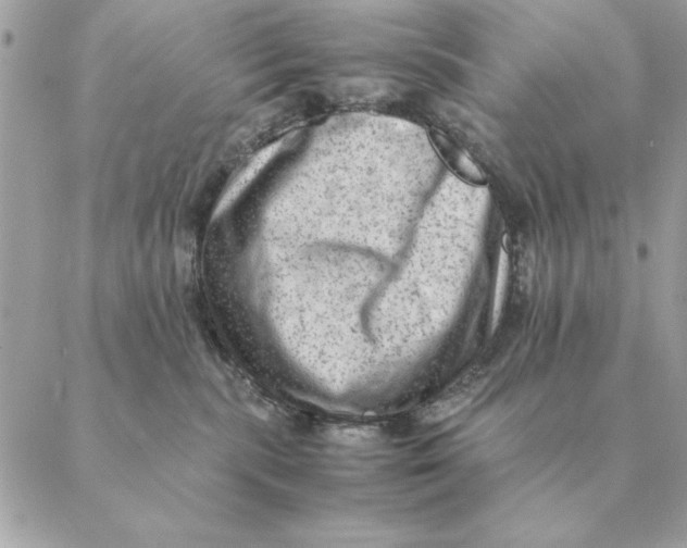 X0000088600283200706151809