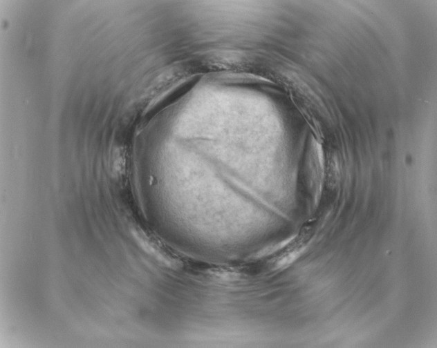 X0000088600284200706151809