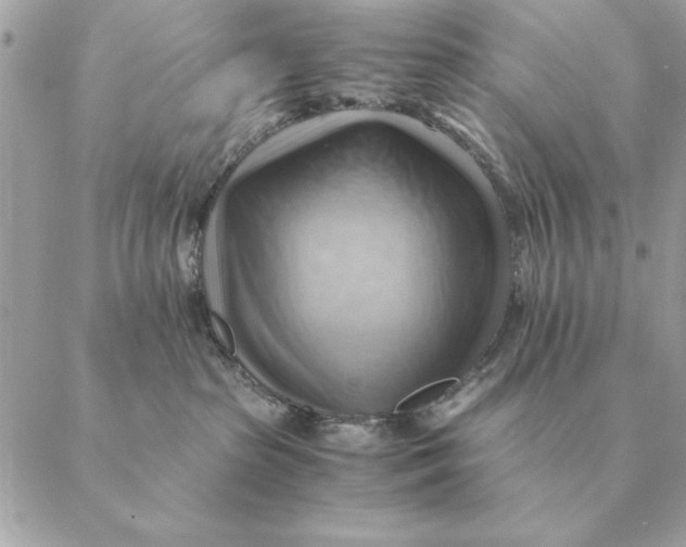 X0000088600285200706151809