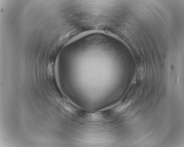 X0000088600286200706151809