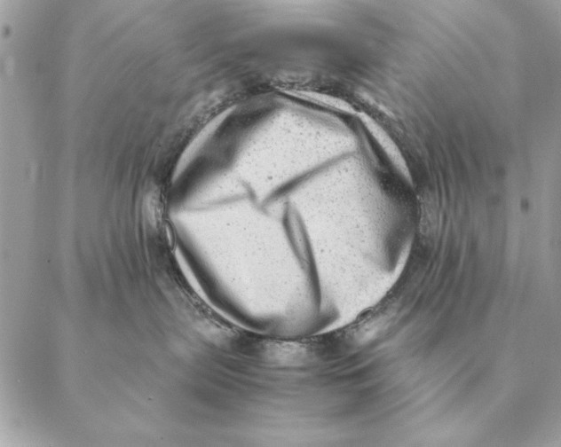 X0000088600287200706151809