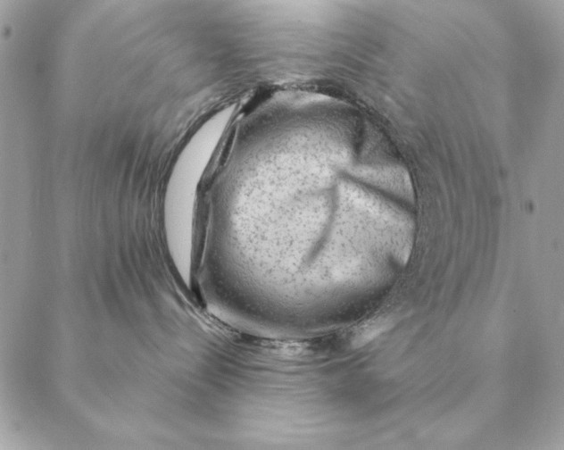 X0000088600288200706151809