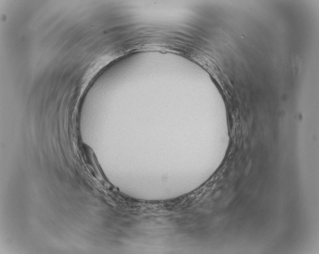 X0000088600289200706151808