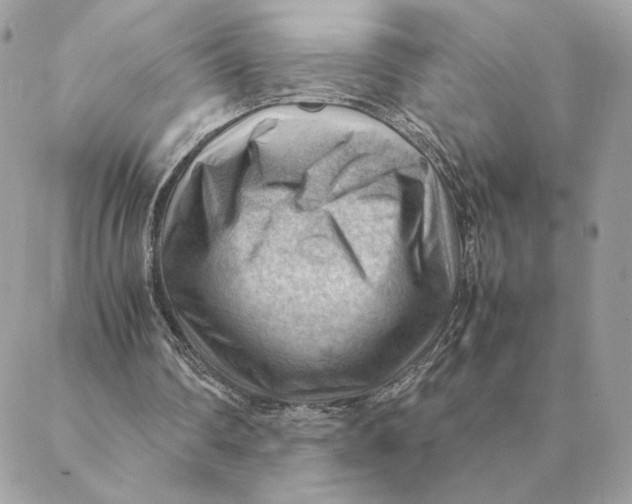 X0000088600290200706151808