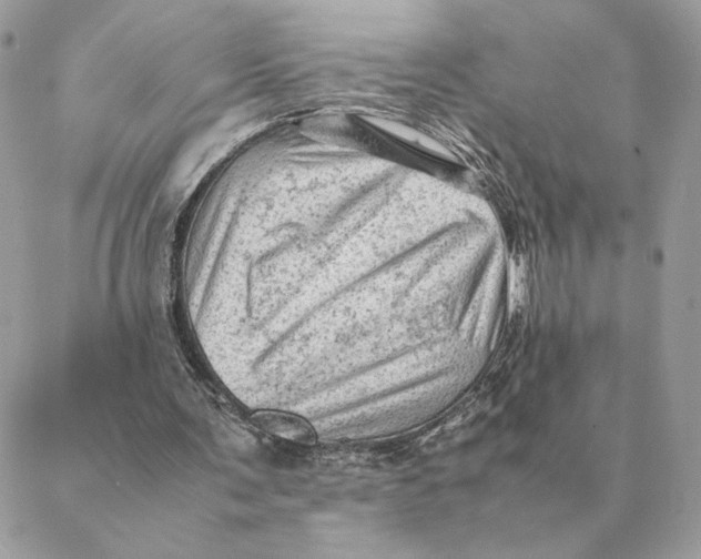 X0000088600291200706151808